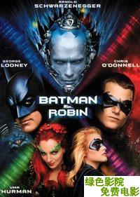 蝙蝠俠4:蝙蝠俠與羅賓