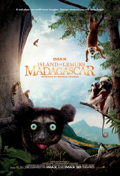 馬達加斯加：狐猴之島