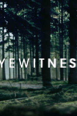 目擊者/目擊證人第一季