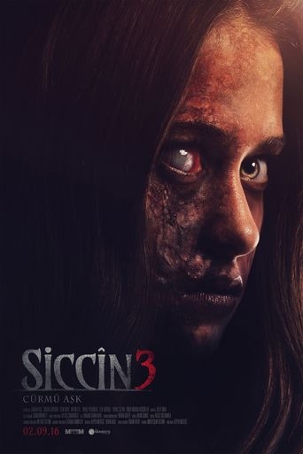 Siccin3：愛之罪