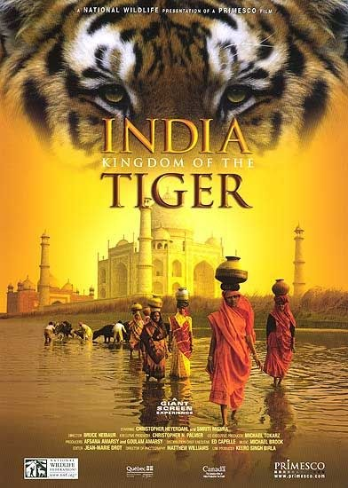 印度：老虎王國