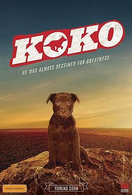 Koko:紅犬曆險記