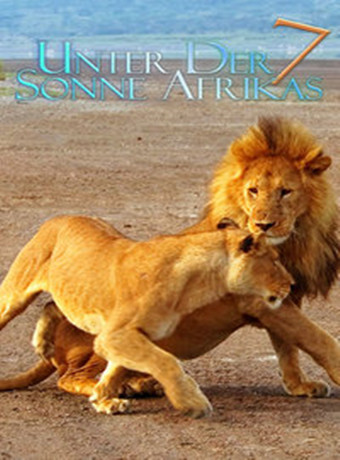 走進非洲7：拂曉之獅