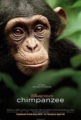 黑猩猩2012